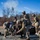 PSB Live-Fire Training