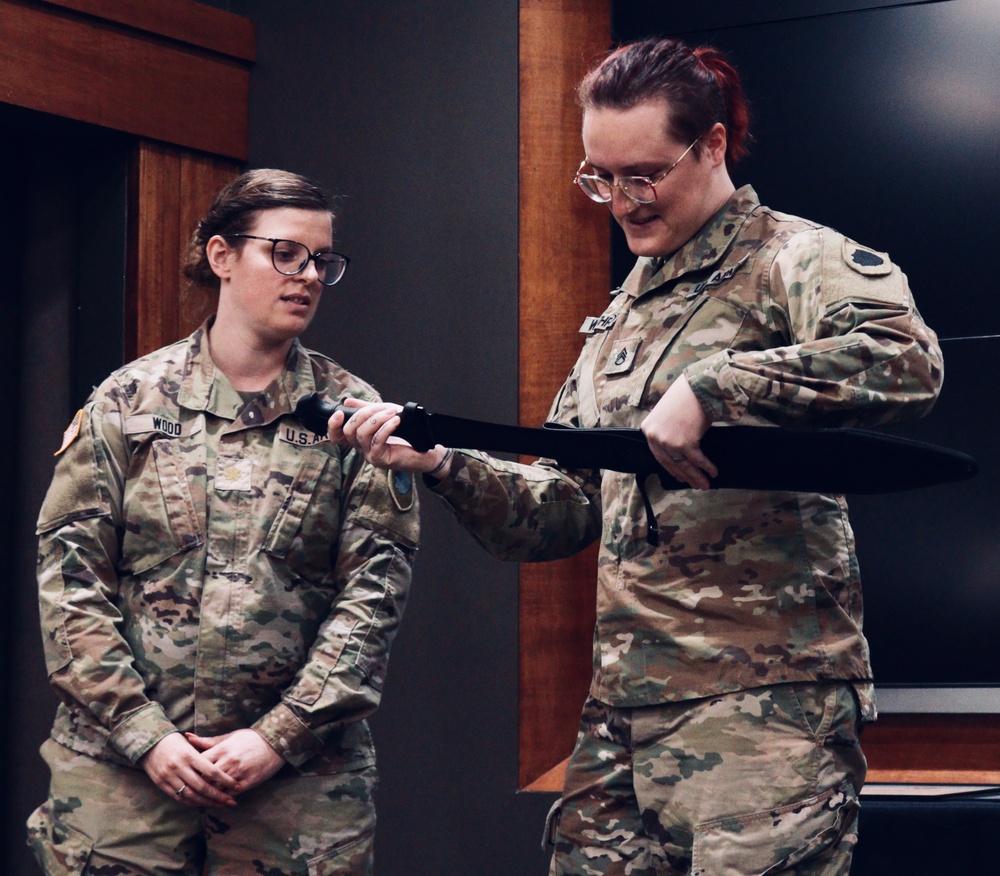 Illinois National Guard Soldier Honored for More Than a Decade of Service