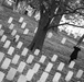 Military Funeral Honors with Funeral Escort are Conducted for U.S. Army Capt. George Terry in Memorial Section H