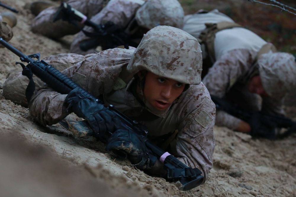 November Company Endures the Endurance Course