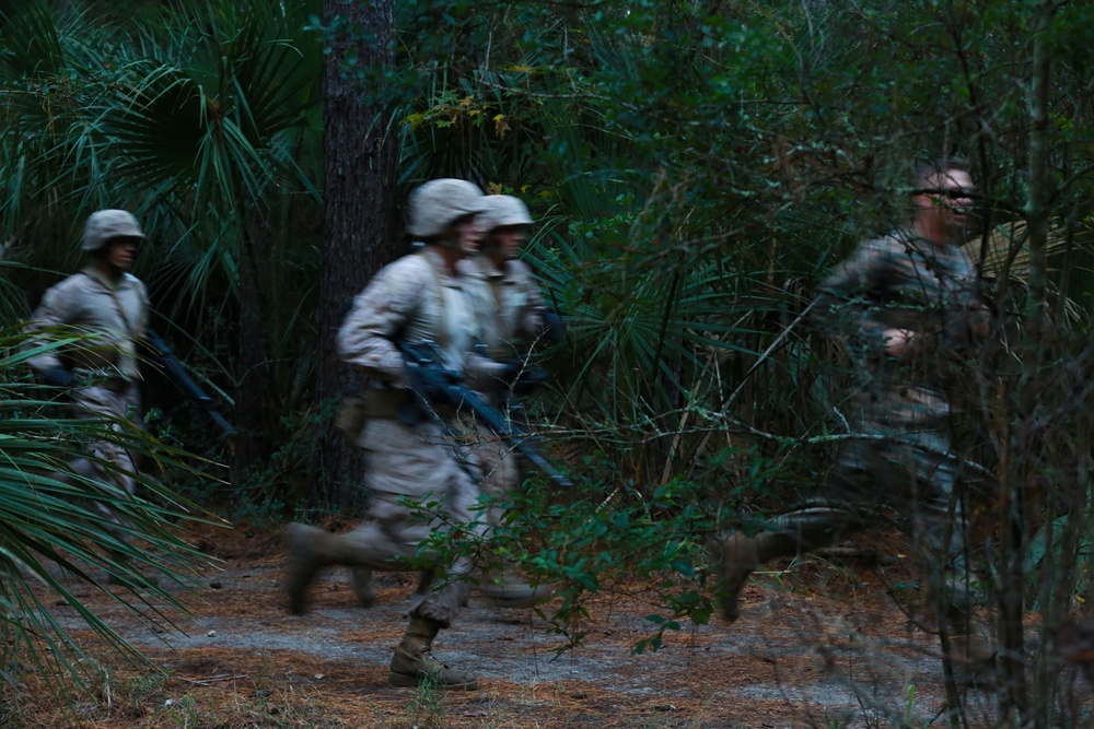 November Company Endures the Endurance Course