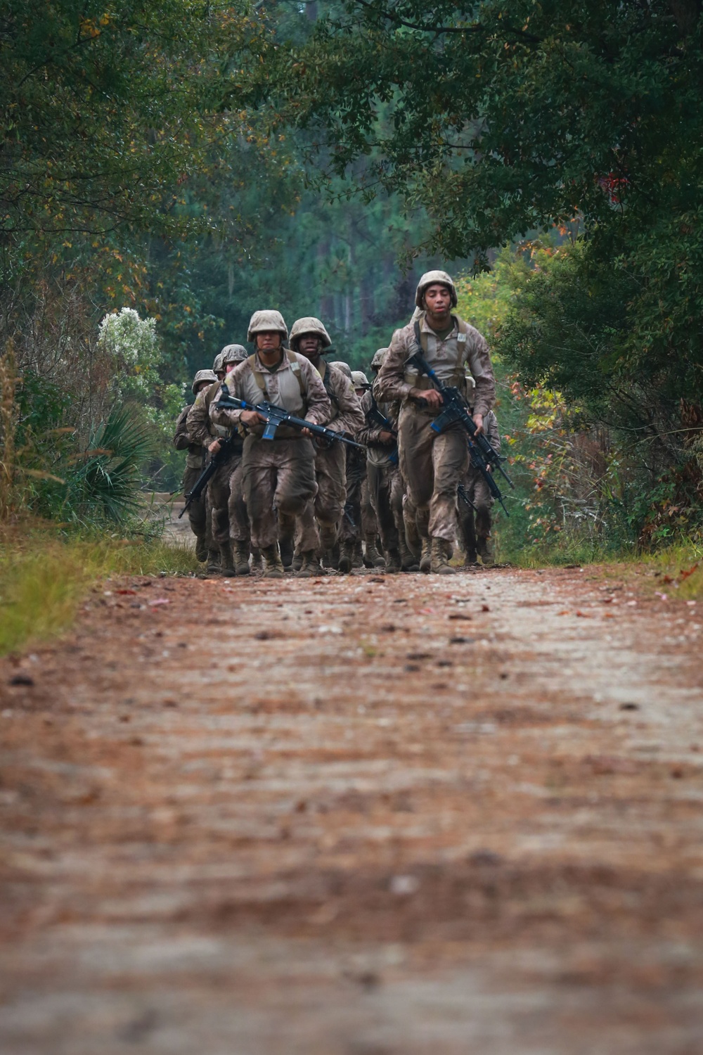 November Company Endures the Endurance Course
