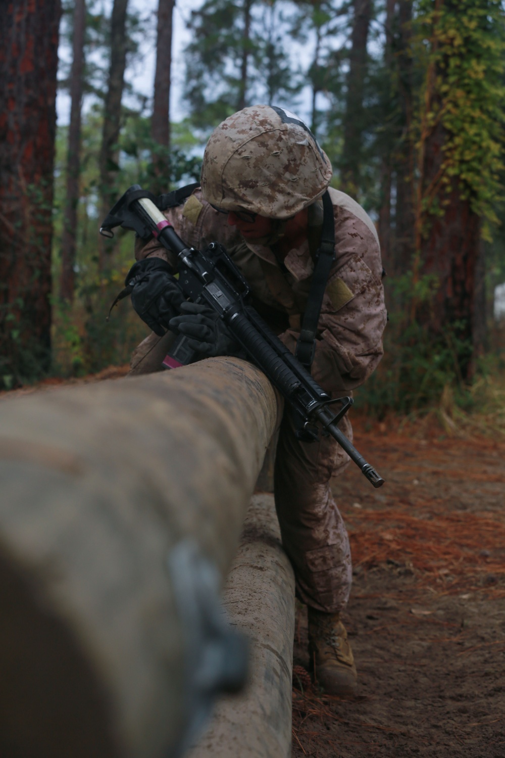 November Company Endures the Endurance Course