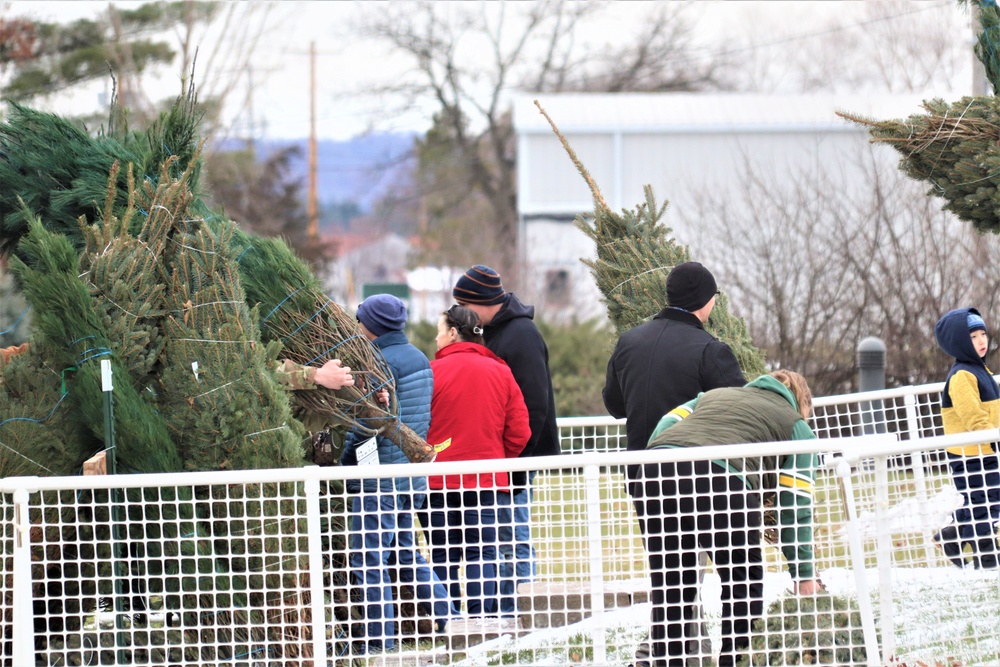 Dozens of Christmas trees donated to Fort McCoy troops during 2023 Trees for Troops event