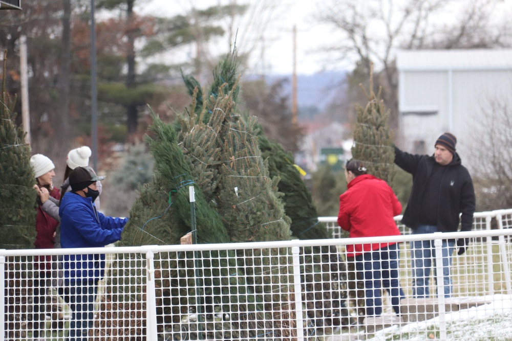 Dozens of Christmas trees donated to Fort McCoy troops during 2023 Trees for Troops event