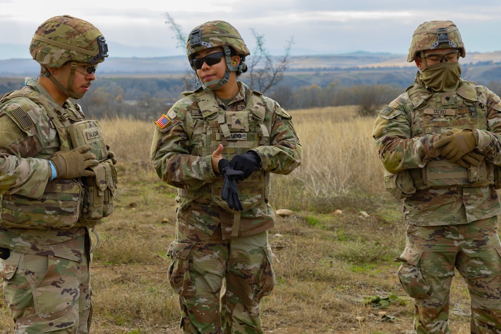 2nd Cavalry Regiment Combat Medics MEDEVAC Rehearsal