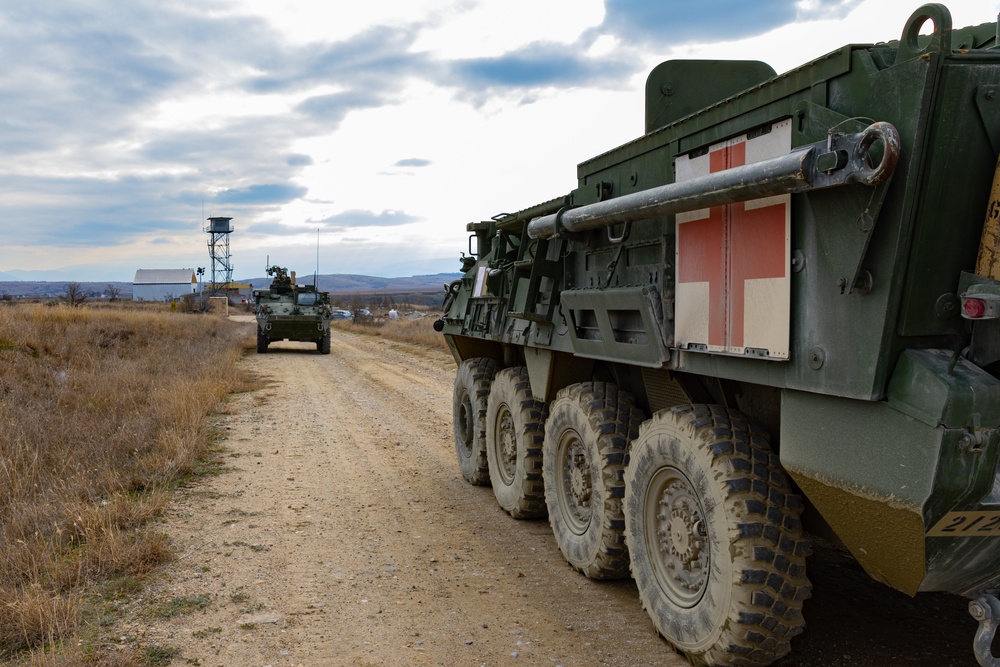 2nd Cavalry Regiment Combat Medics MEDEVAC Rehearsal