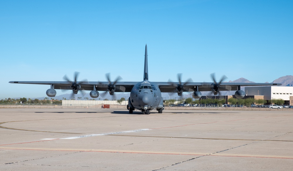 Distant Fury Stallion 23