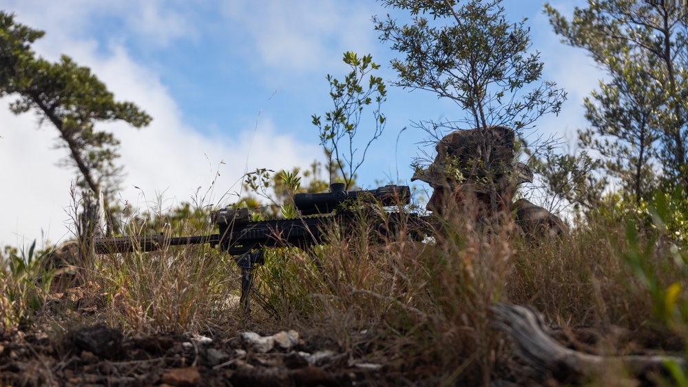 KAMANDAG 7| 3d LCT Squad Ambush Tactics with PMC