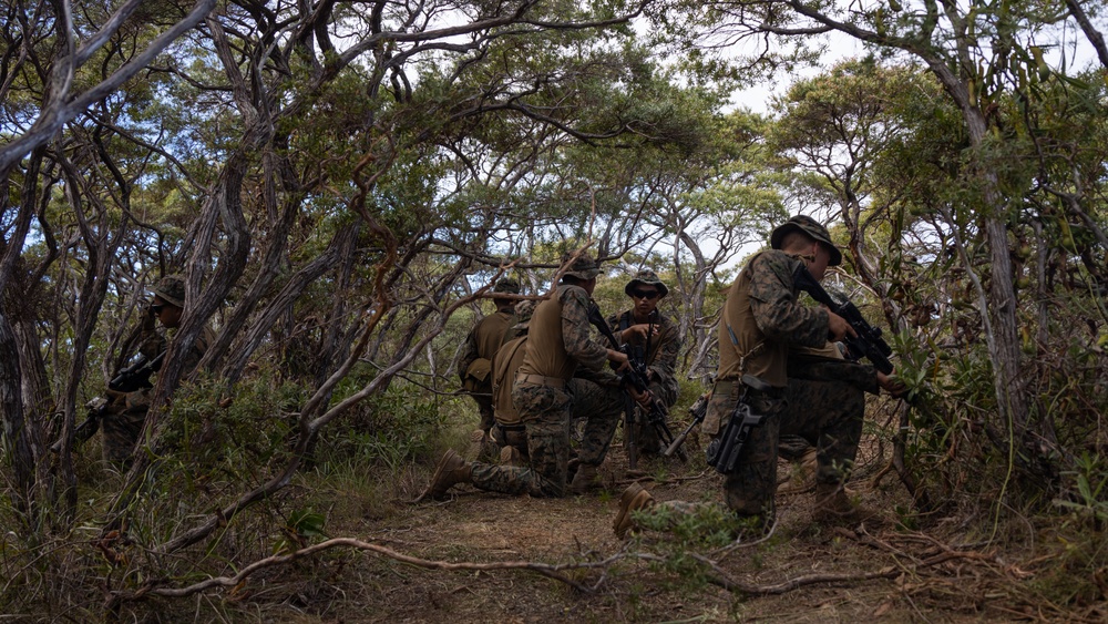KAMANDAG 7| 3d LCT Squad Ambush Tactics with PMC