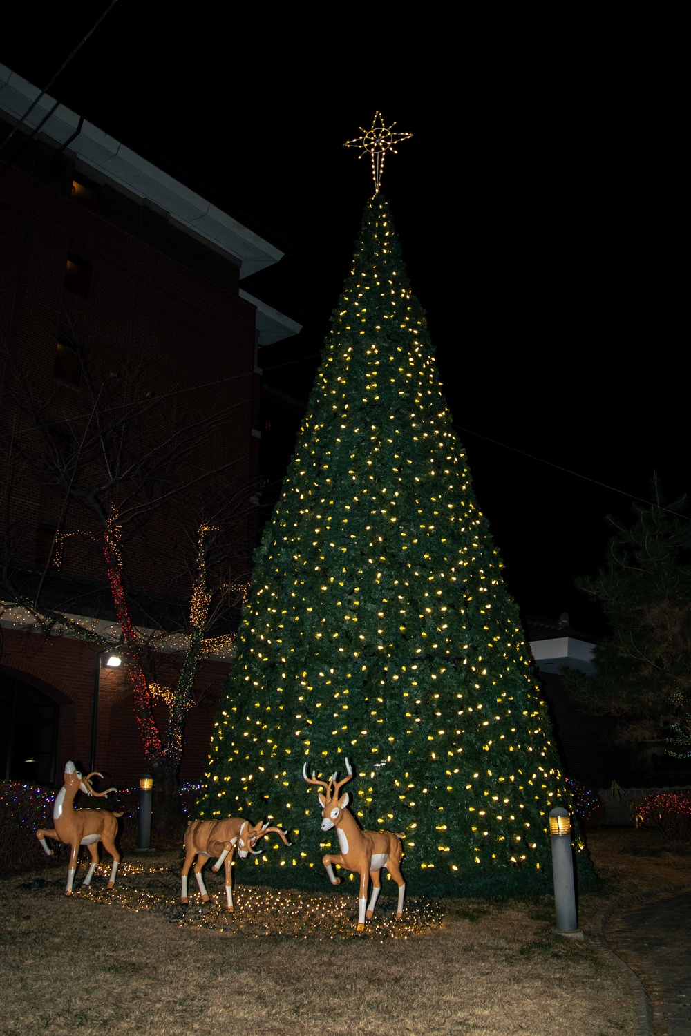 USAG Yongsan hosts tree lighting ceremony