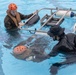 U.S. Marines from III Marine Expeditionary Force conduct Underwater Egress Training