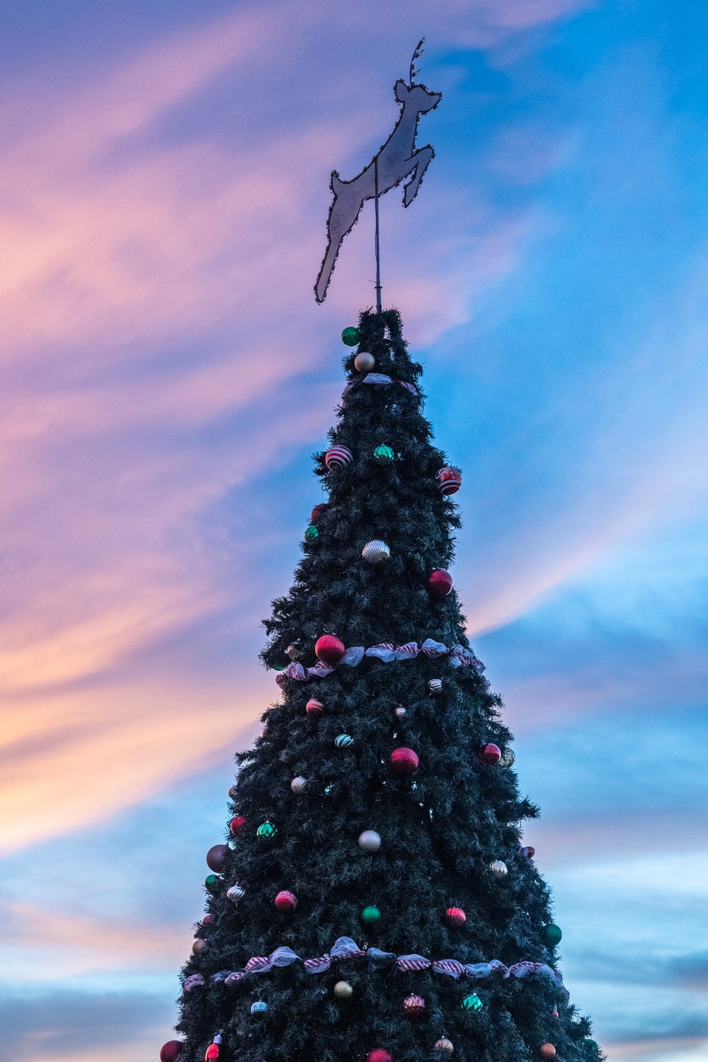 JBSA-Fort Sam Houston 2023 Holiday Tree lighting