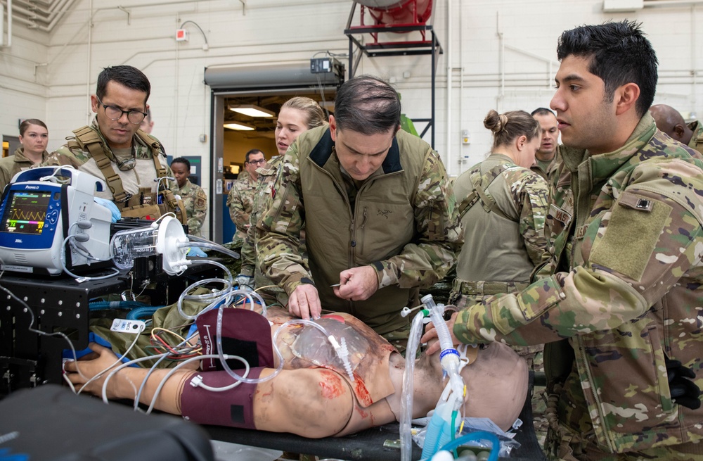 Distant Fury Stallion 23