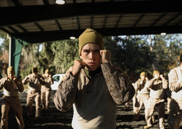 Guardians demonstrate physical, mental resilience during Marine Corps Martial Arts Program