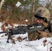 Alpine Troops Exhibit Readiness Surge: Precision and Team Power Take Center Stage