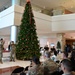 CRDAMC lights its holiday tree for the season