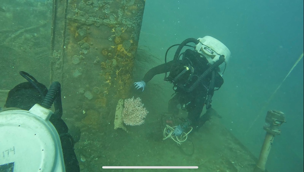 Archaeologist achievement in Stranded Deep (Windows)