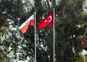 NATO partners at Incirlik AB celebrate Poland’s National Independence Day