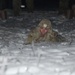 4-319th AFAR Best of the Best EPFA