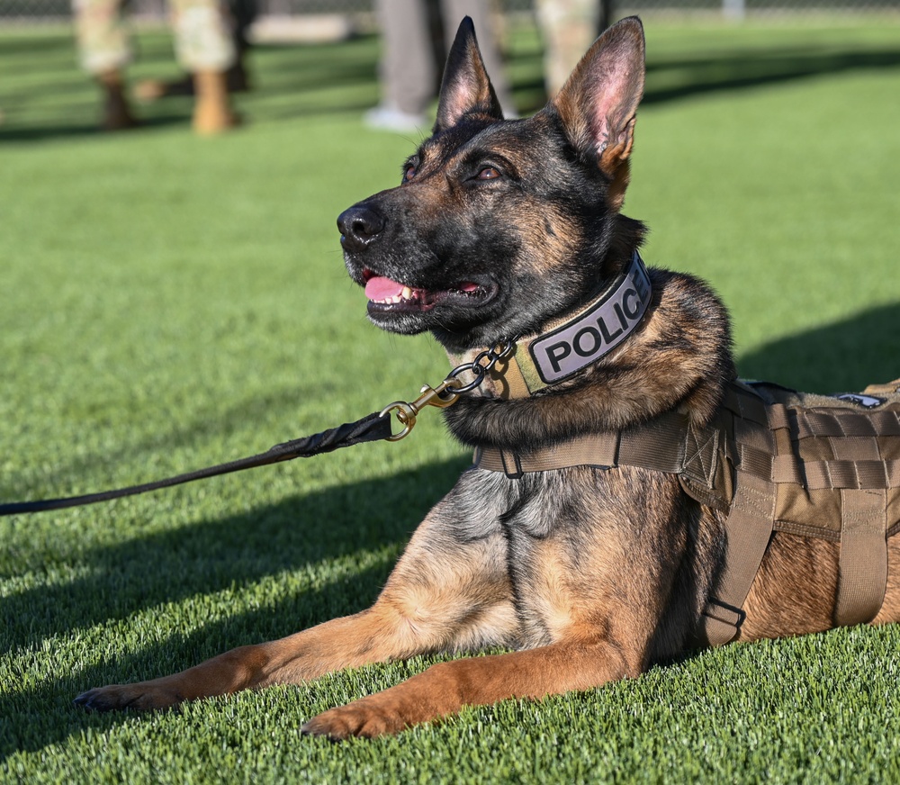 A triumph of training for 82d TRW SFS