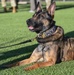 A triumph of training for 82d TRW SFS