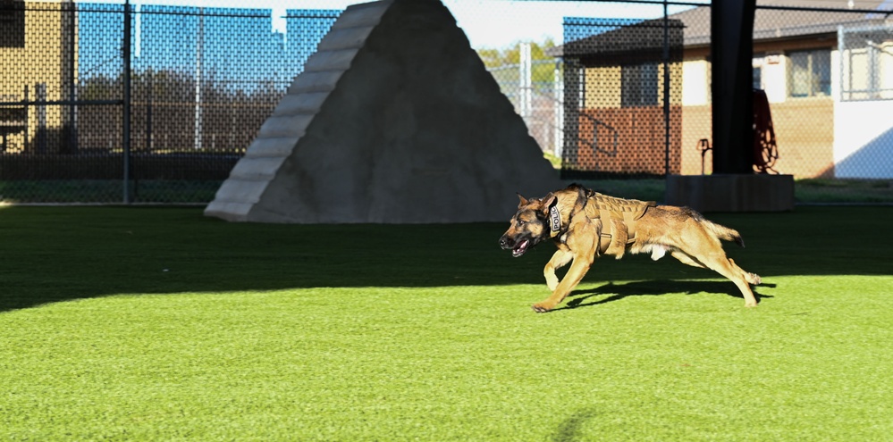 A triumph of training for 82d TRW SFS