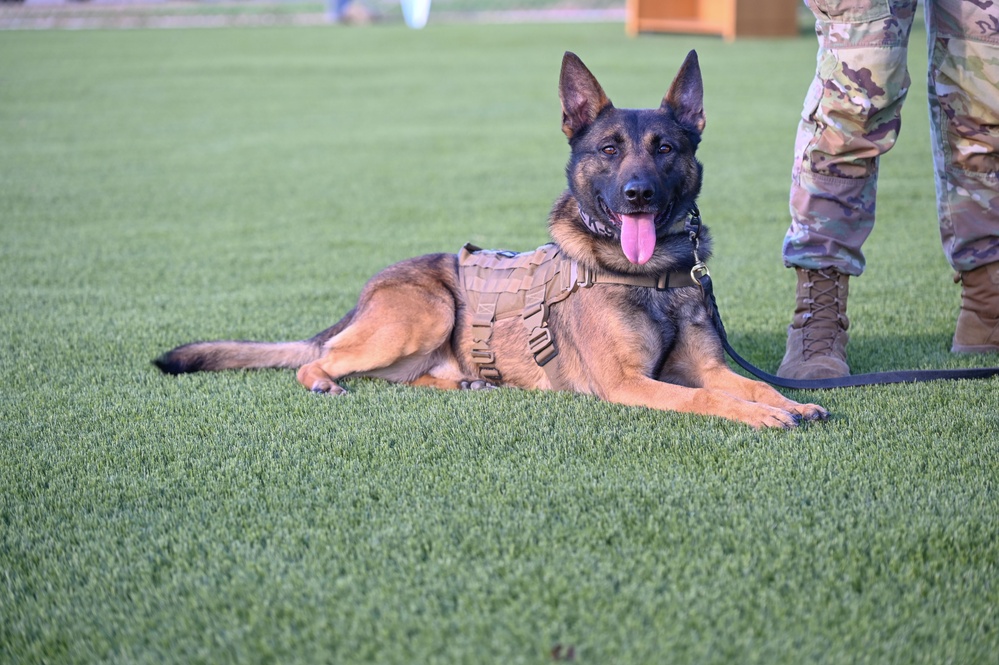 A triumph of training for 82d TRW SFS