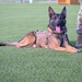 A triumph of training for 82d TRW SFS