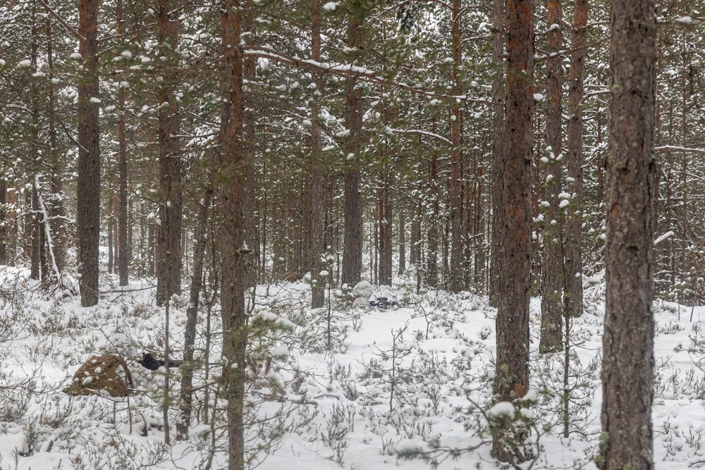CLB 6 Conducts Defensive Operations During Freezing Winds 23