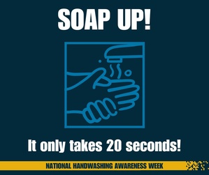 Housewife Handwashing