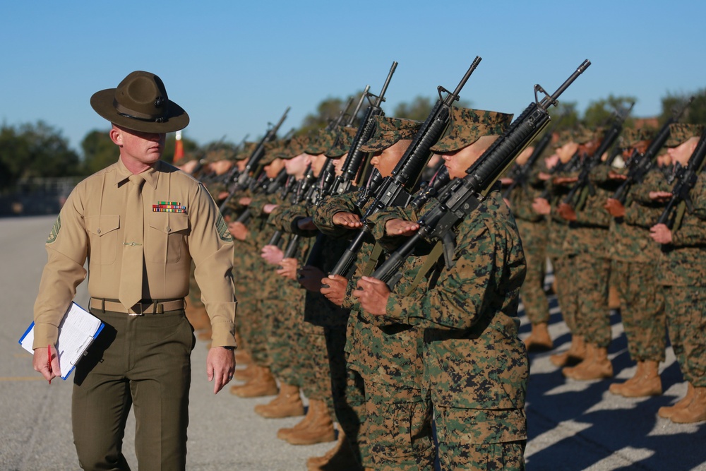 November Company Final Drill