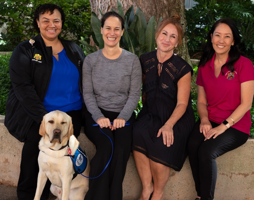 Meet Nalu, Tripler’s Pediatric Specialty Therapy Dog