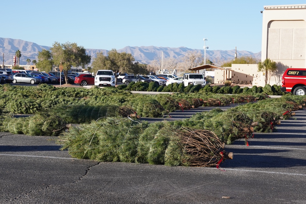 Las Vegas Raiders and Nellis Airmen give out Christmas trees