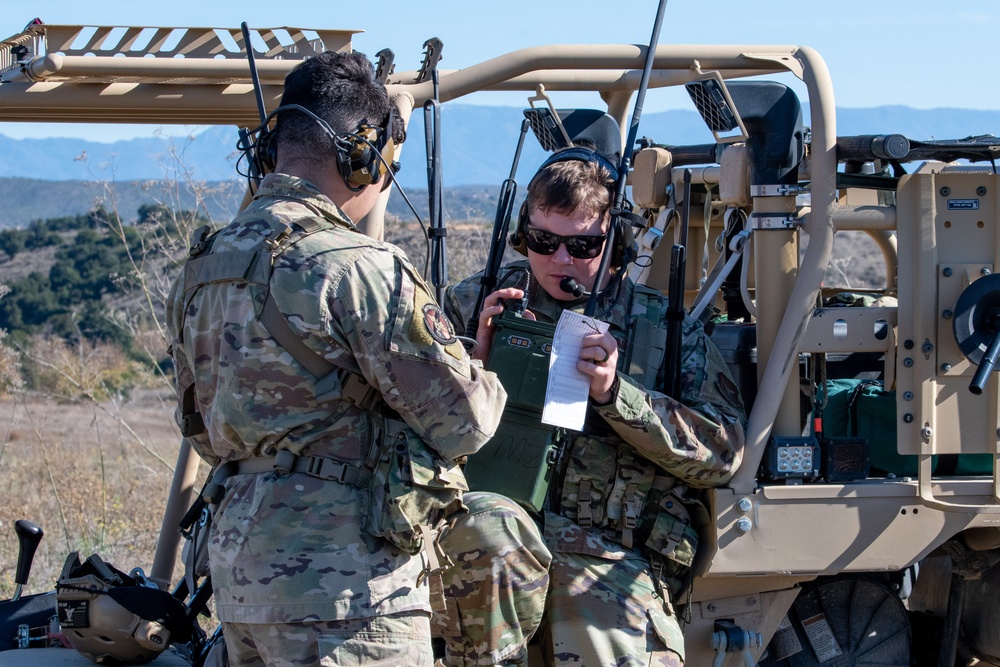 Distant Fury Stallion 23