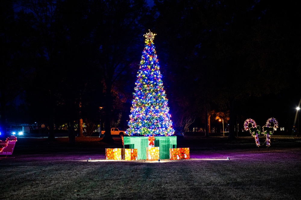 Festive Delights with Over 2,000 Lights
