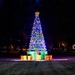 Festive Delights with Over 2,000 Lights