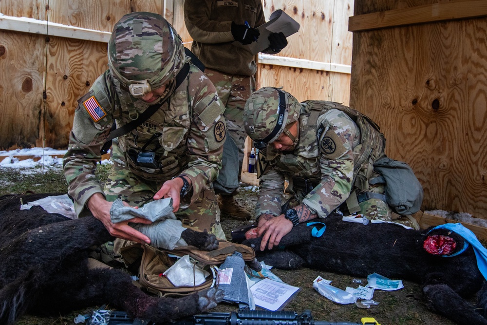 European Best Medic Competition Grafenwoehr, Germany