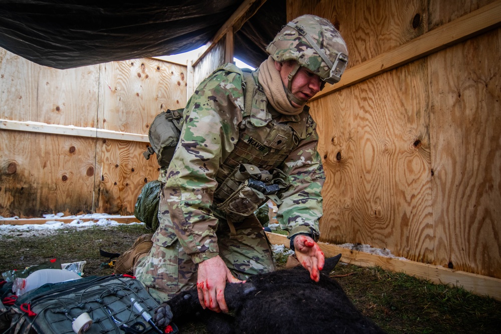 European Best Medic Competition Grafenwoehr, Germany