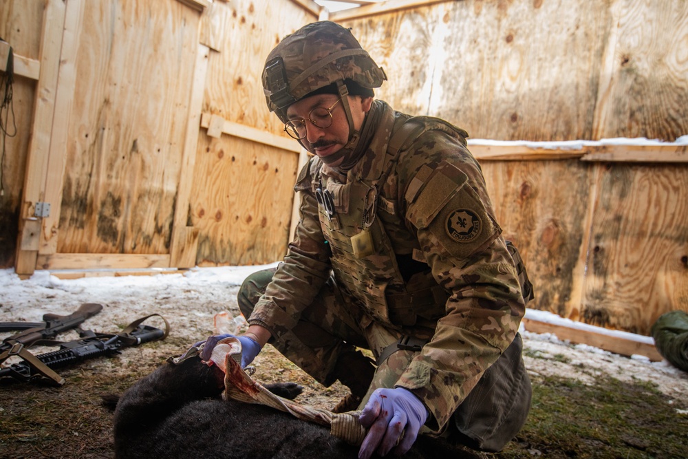 European Best Medic Competition Grafenwoehr, Germany