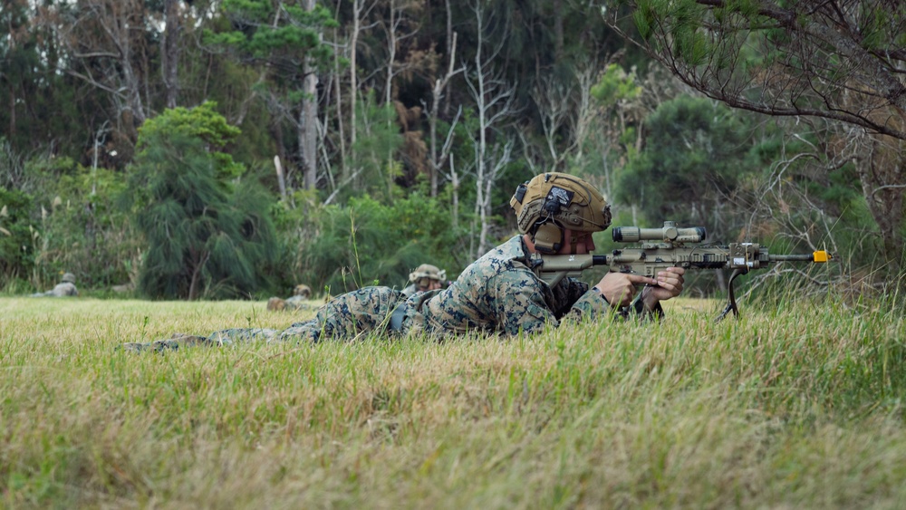 Battalion Landing Team 1/1 conducts Tactical Recovery of Aircraft and Personnel