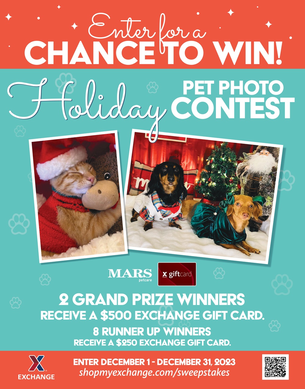 Whisker Wonderland! Pets Can Help Win Shoppers $3,000 In Prizes in the Exchange’s Holiday Pet Photo Contest