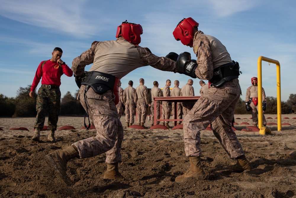 Bravo Company Body Sparring and Pugil Sticks