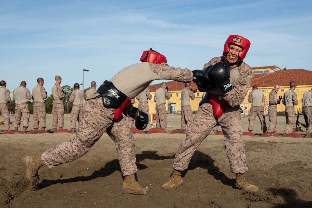 Bravo Company Body Sparring and Pugil Sticks