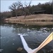 Fishing stories start with stocked ponds