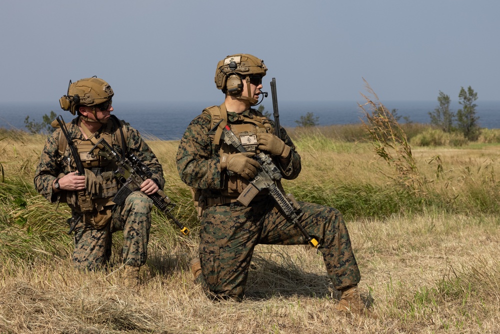 Battalion Landing Team 1/1’s Alpha Company conducts a Helicopter Raid Exercise