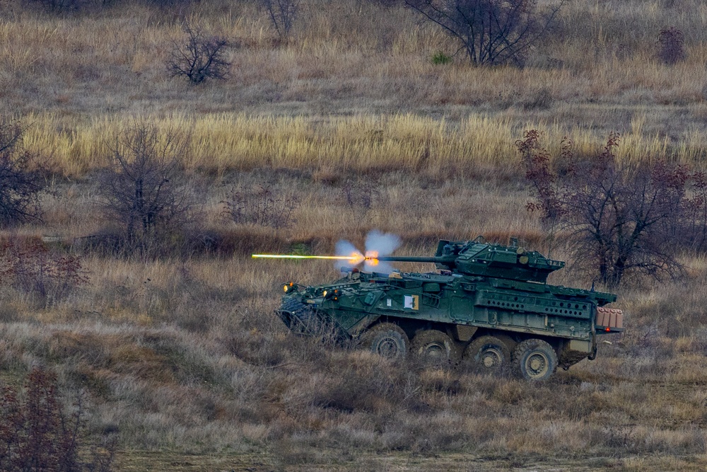 2nd Cavalry Regiment demonstrates live-fire capabilities for distinguished visitors