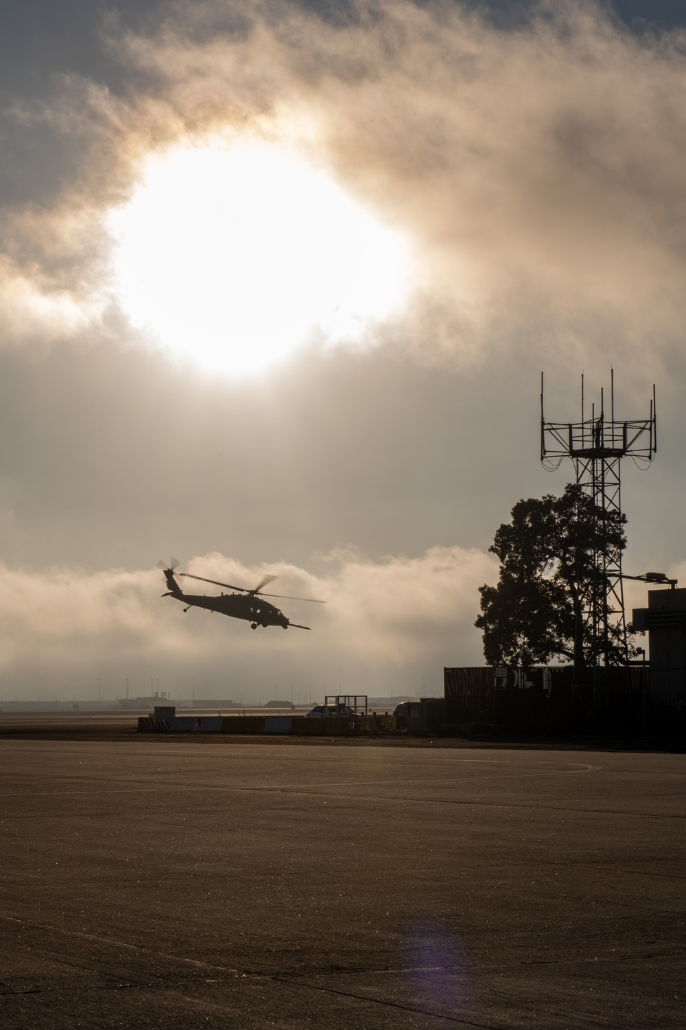 Distant Fury Stallion 23