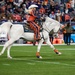 Denver Broncos Salute to Service Game