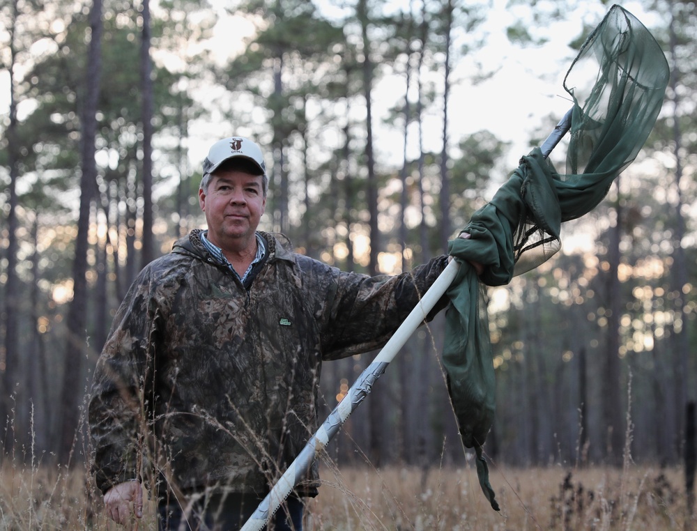 Fort Stewart and Georgia Department of Natural Resources Relocate Endangered Red-Cockaded Woodpeckers